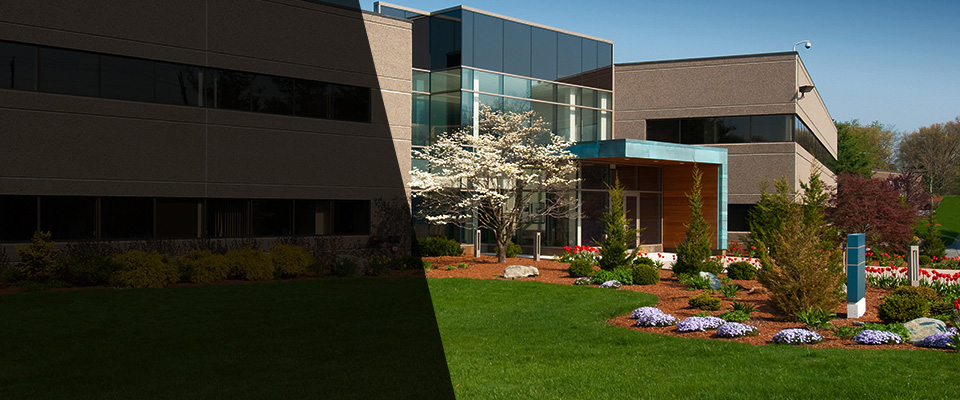 Carrizo Springs Landscapers