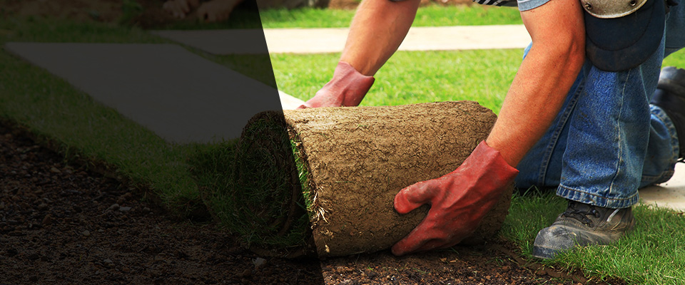 Carrizo Springs Landscapers